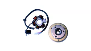 Stomp Kit Statore Pit Bike 12V - 12V 6 Bobine Statore e Volano - Foto 1 di 1