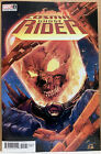 Cosmic Ghost Rider #1 (Marvel Comics 2023) Cover D - (Ca) Stegman