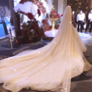 Long Wedding Bridal Veil Train Cathedral Veils Bride Sparkly Glitter Tulle 1Tier - Picture 1 of 10
