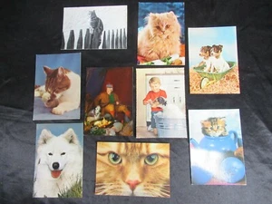 LOTTO # 9 CARTOLINE CANI GATTI DOG CAT VINTAGE ANNI 70/80/90 GADGET POSTCARD - Picture 1 of 8