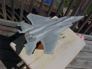 Pacific Aircraft McDonnell Douglas F - 15 Eagle?? Marcado FF 1er FW AF 80 0051 - Imagen 1 de 1