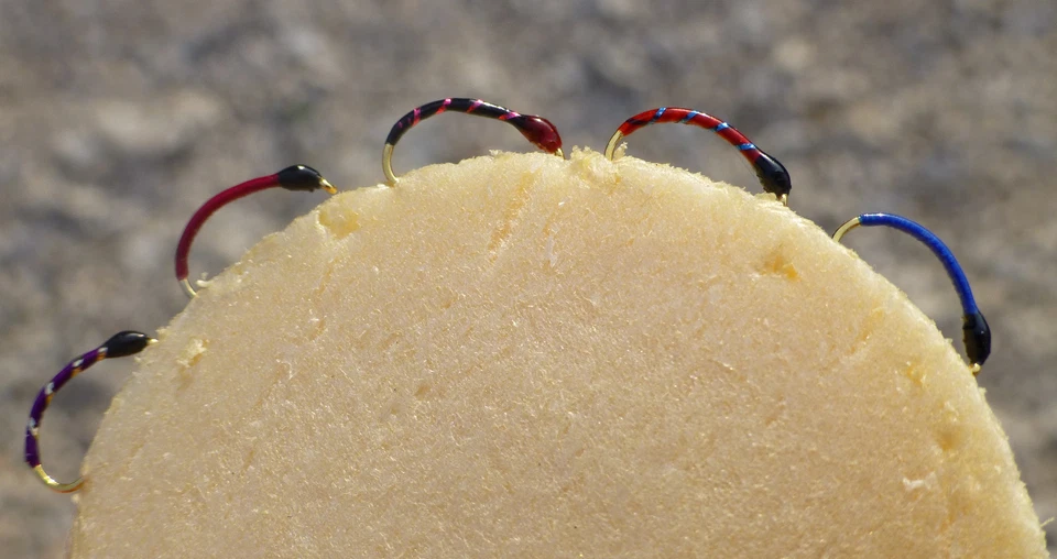 DIETER-HEGENEN TOP Hegene Gr. 12 Top Farben Renken Felchen Saibling Chiemsee Maräne GAMBE! "
