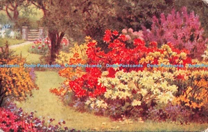 R493120 Garten Blumen Gemälde Lachs 4303 - Bild 1 von 4