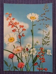 Old Postcard Art Card Daisy Meadow Flowers - Picture 1 of 2