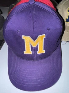 Vintage KUDZU Minnesota State Screaming Eagles Snapback Hat Sitcom Coach - Picture 1 of 4