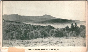 Postal de recuerdo vintage Waterbury VT-Vermont, camellos hump - Imagen 1 de 2