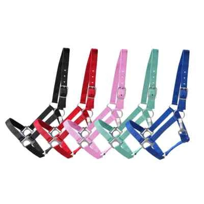 Halfter Nylonhalfter Maddy Shetty VB WB Farben gemischt NEU