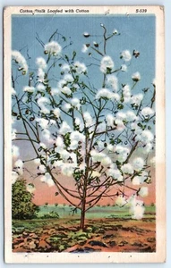 Postal TN 1944 algodón tallo cargado con algodón lino G4 - Imagen 1 de 2
