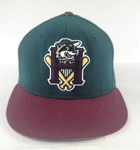 New ERA Hudson Valley Renegades Snapback Hat Baseball Cap VTG  Logo Pro Model - Picture 1 of 12