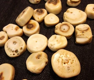 Bastelzubehör Natur Koralle Perlen Weiß Edelstein Naturstein Münze Schmuck G619 - Bild 1 von 5