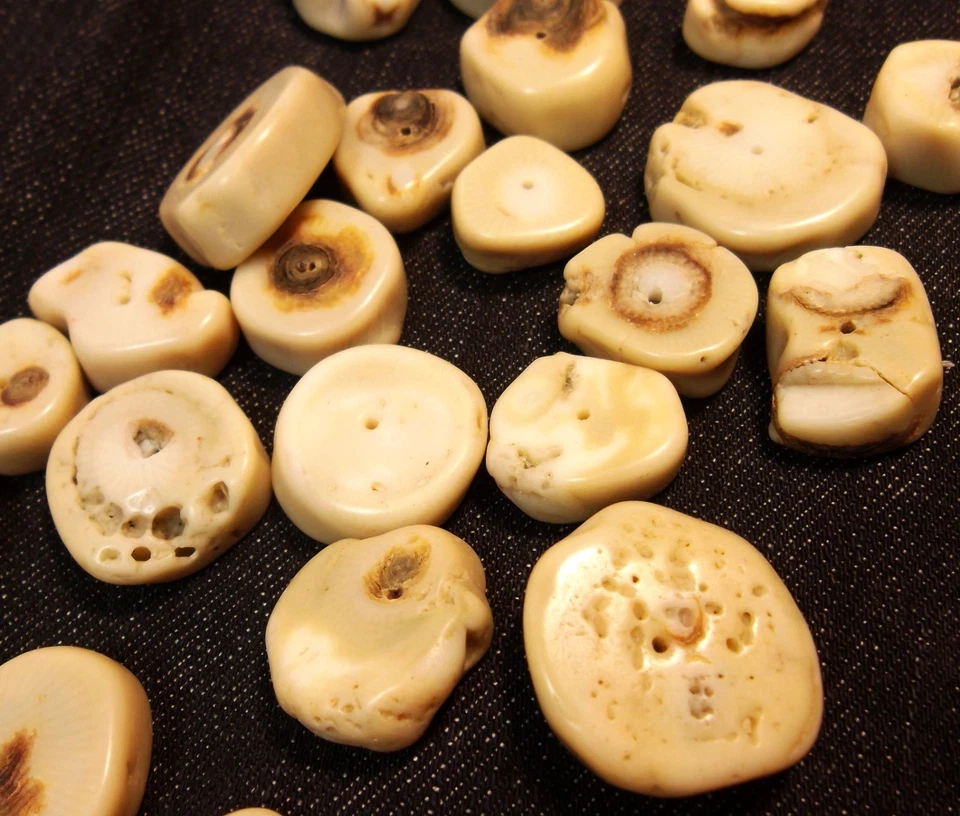 Bastelzubehör Natur Koralle Perlen Weiß Edelstein Naturstein Münze Schmuck G619 - Bild 1 von 4