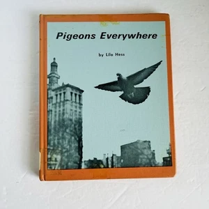 Vintage Children's "Pigeons Everywhere" Lilo Hess 1967 Birds Science Animals - Bild 1 von 16