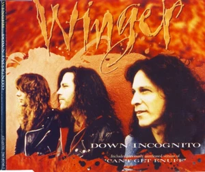 Winger - Down Incognito - Bild 1 von 1