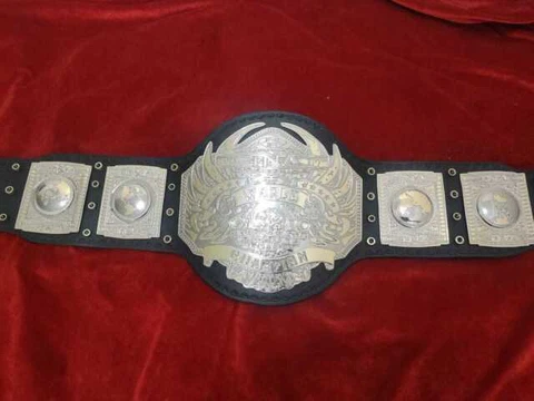TNA World Heavyweight Wrestling Champion Belt 2MM ZINC Plates Adult Size Cover