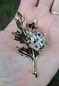 Enamel Beetle Bug Crystal Leaf Brooch - Picture 1 of 5