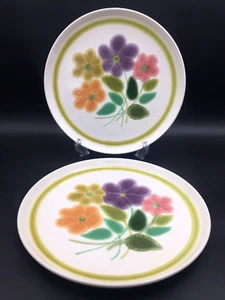 Franciscan Floral USA Rand Speiseteller England orange gelb Blume 2er Set - Bild 1 von 7