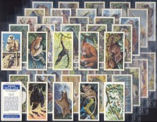 BROOKE BOND (TEA)-FULL SET- ASIAN WILD LIFE 1962 (50 CARDS) EXCELLENT