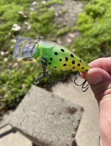 Custom Painted Crankbait 2.5 Squarebill Silent Toxic Frog Blemish - Picture 1 of 7