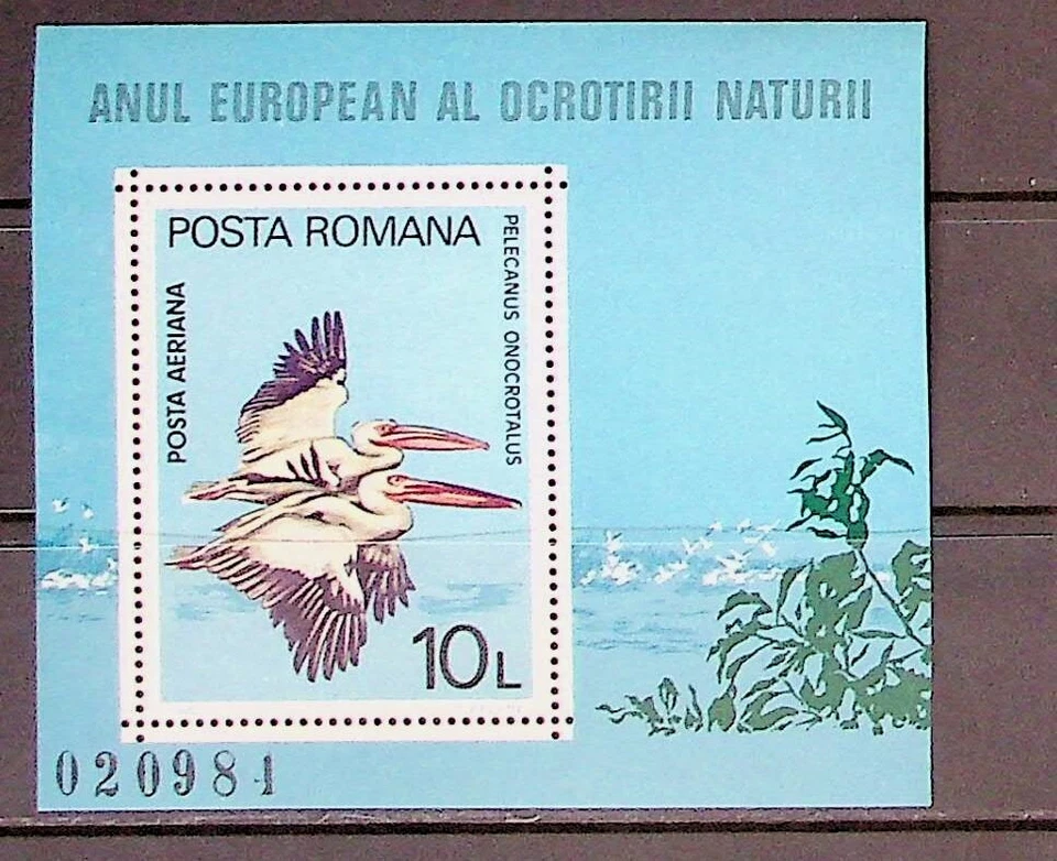 ROMANIA Sc C232 NH SOUVENIR SHEET OF 1980 - BIRDS - Image 1 of 1