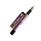 Disposable Fountain Pens, Ink Fine Point Pens Smooth Writing Calligraphy Pens