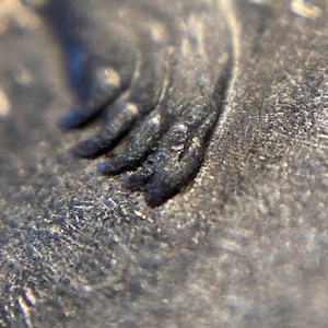 2008-P Alaska Statehood Quarter Sixth Claw Die Chip Mint Error #LBQ28 - Picture 1 of 3