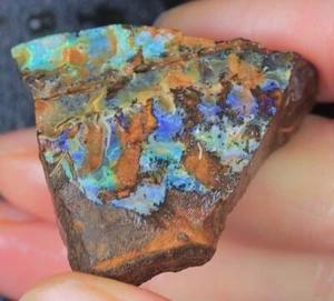 114 TCW  ROUGH NATURAL AUSTRALIAN BOULDER OPAL KucinaOpals +VIDEO - Picture 1 of 4
