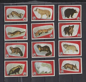 Série étiquettes Allumettes Yougoslavie  Animaux   Ours  2 - Imagen 1 de 1