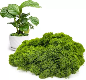 Fake Green Moss for Potted Plants Indoor, 5.3Oz Artificial Moss for Crafts, Faux - Picture 1 of 12