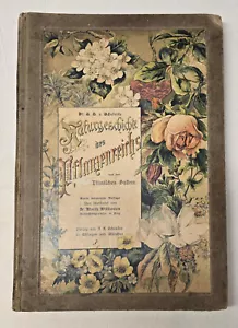 RARE 1870 Naturgeschichte des Pflanzenreichs – Illustrated - Flowers – 1870 - Foto 1 di 12