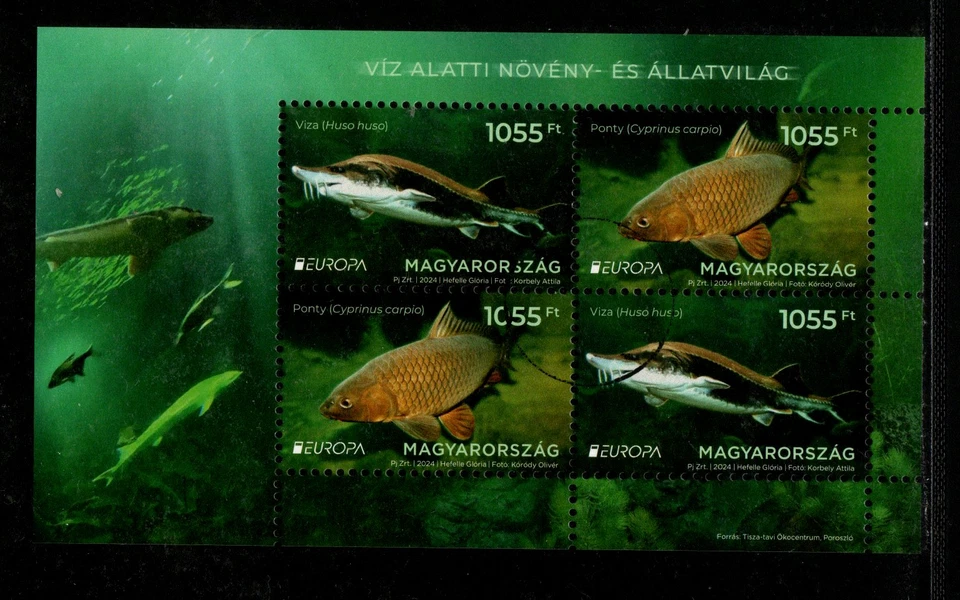 HUNGARY-SPECIMEN  S/S  2024 - EUROPA 2024 - Underwater Fauna and Flora - Image 1 of 1
