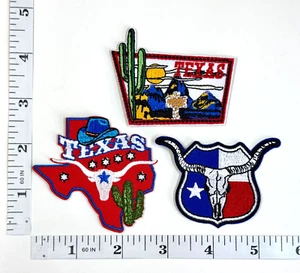 Embroidered 3-Patch Set - Texas Trio - Texas - Cactus - Steer - Iron-on - Picture 1 of 1
