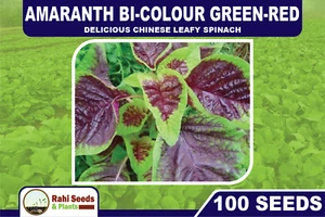 Amaranth Bi-Colour Green-Red - Delicious Chinese Leafy Spinach - 100 Seeds - Picture 1 of 4
