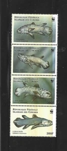 COMORES. Año: 1998. Tema: FAUNA WWF. - Imagen 1 de 1