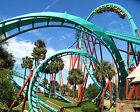 Kumba, Busch Gardens Tampa 8x10 High Quality Photo Picture