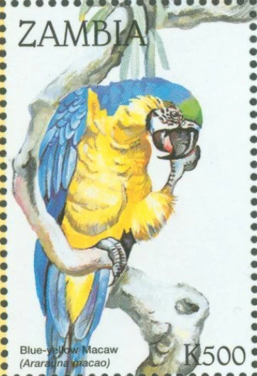Zambia #Mi822 MNH 1998 Parrots Blue Yellow Macaw [735c] - Image 1 of 1