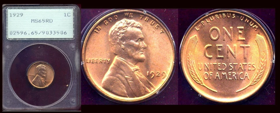 1929 1C LINCOLN CENT PCGS MS65RD-PURE RED RARE OLD RATTLER HOLDER - Image 1 of 1