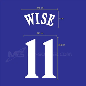 CHELSEA FC HOME UCL 1999-2001 FLOCK VELVET PRINT - Picture 1 of 5