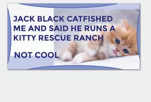 Funny Bumper Stickers For Cars Trucks Window Decal Gen-z Meme Kitten Jack Black - Picture 1 of 6