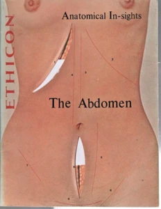The Abdomen Anatomical In-sights by Ethicon SB Book Teaching Aid Pop Up - Picture 1 of 3
