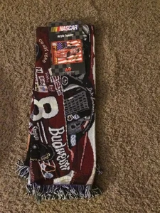 Vintage 2000 Northwest Co Nascar Dale Earnhardt Jr #8 Acryl Wandteppich 48” x 60” - Bild 1 von 4