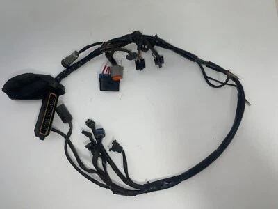 2001 HARLEY DAVIDSON FLHRCI TOURING ROAD GLIDE MAIN WIRING HARNESS - Image 1 of 4