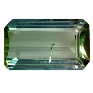 7.85 ct Pleasant Octagon (17 x 10 mm) Un-Heated Mozambique Bi-Color Tourmaline - Picture 1 of 2