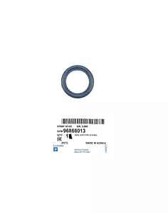 1x Original GM/Chevrolet 96866013 Gasket o-Ring Spark Aveo - Picture 1 of 3