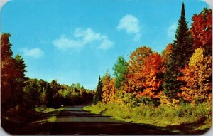 Splashing Colors Autumn Drive Through Wood Wisconsin Postcard - Picture 1 of 2