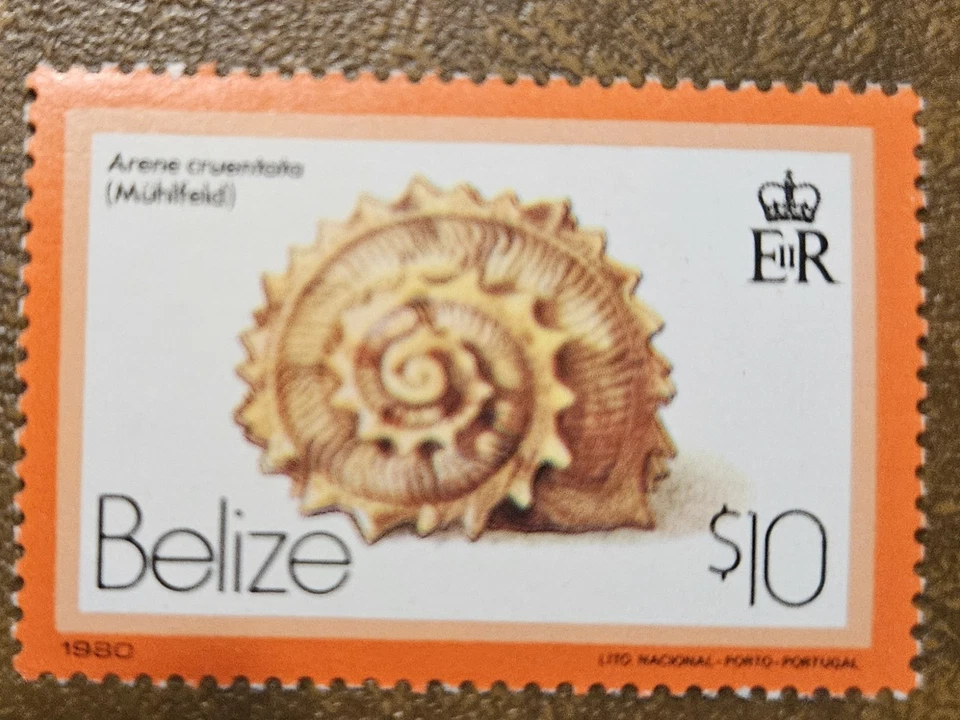 Carcasa BELICE 1980 (Scott 487; SG 548) MNH Foto 1 de 1