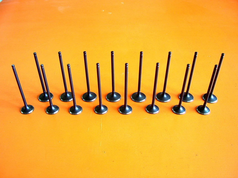 1996-1997  FITS ISUZU OASIS 2.2  F22B6   8  INTAKE AND 8   EXHAUST VALVES - Image 1 of 1