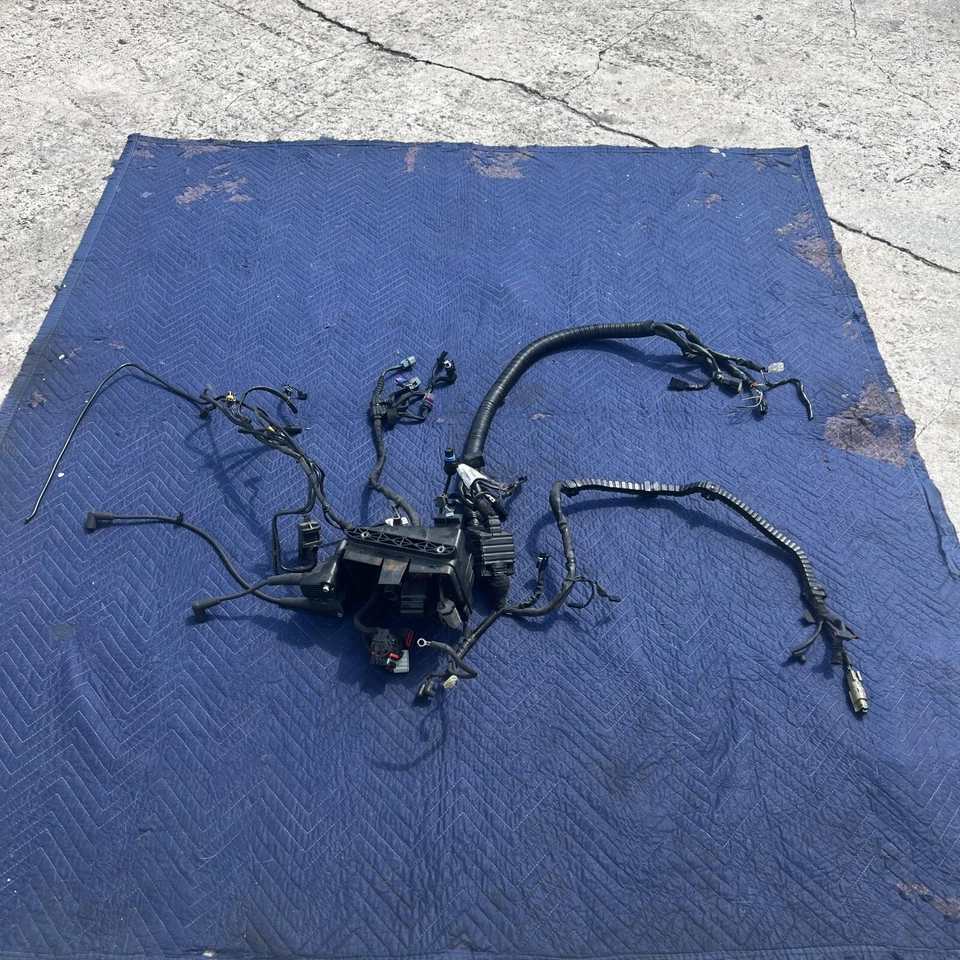 Arnés de cableado principal Harley Davidson Dyna Models 2012-2016 OEM 69200455 Foto 1 de 4