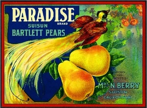 Hermosa impresión artística de etiqueta de caja de frutas y pera pájaro Suisun California Paradise - Imagen 1 de 1