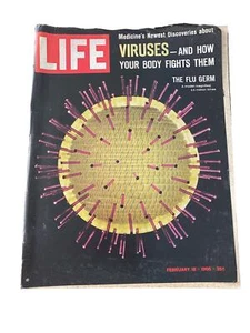 LIFE Magazine Feb 18 1966 Viruses Flu Germ Winston Cigarettes Ad Vintage - Bild 1 von 4