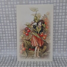 Flower Fairies Cicely Mary Barker Post Cards Postcards Autumn Frederick Warne